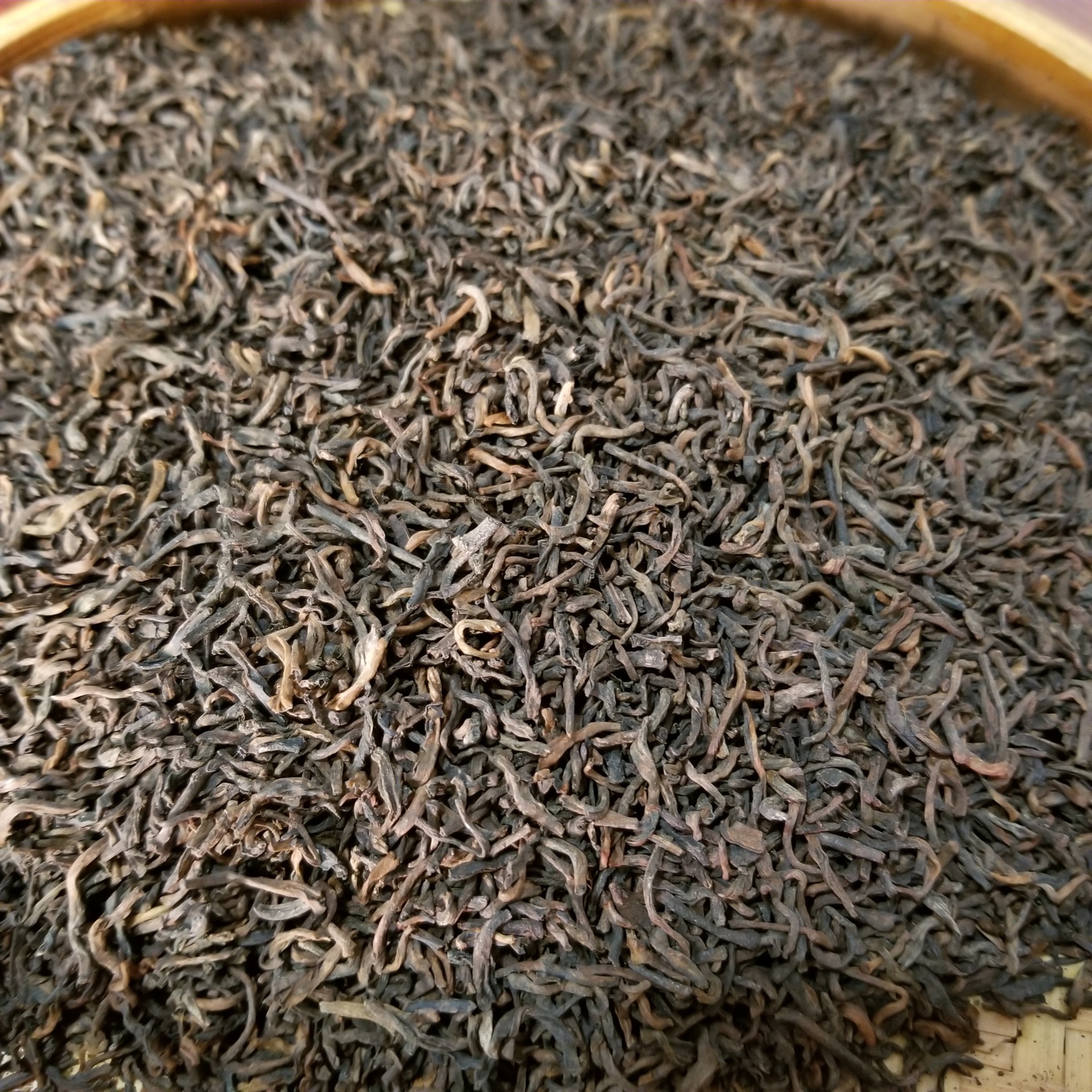 安化黑茶黑茶树(安化黑茶茶树品种)