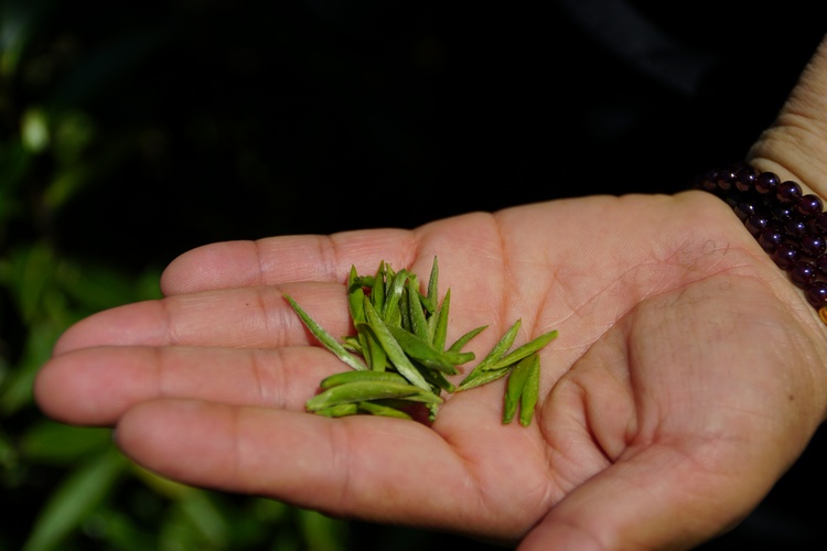 藏桔子茶(藏在桔子里的茶香，喝一口就被惊艳到了)