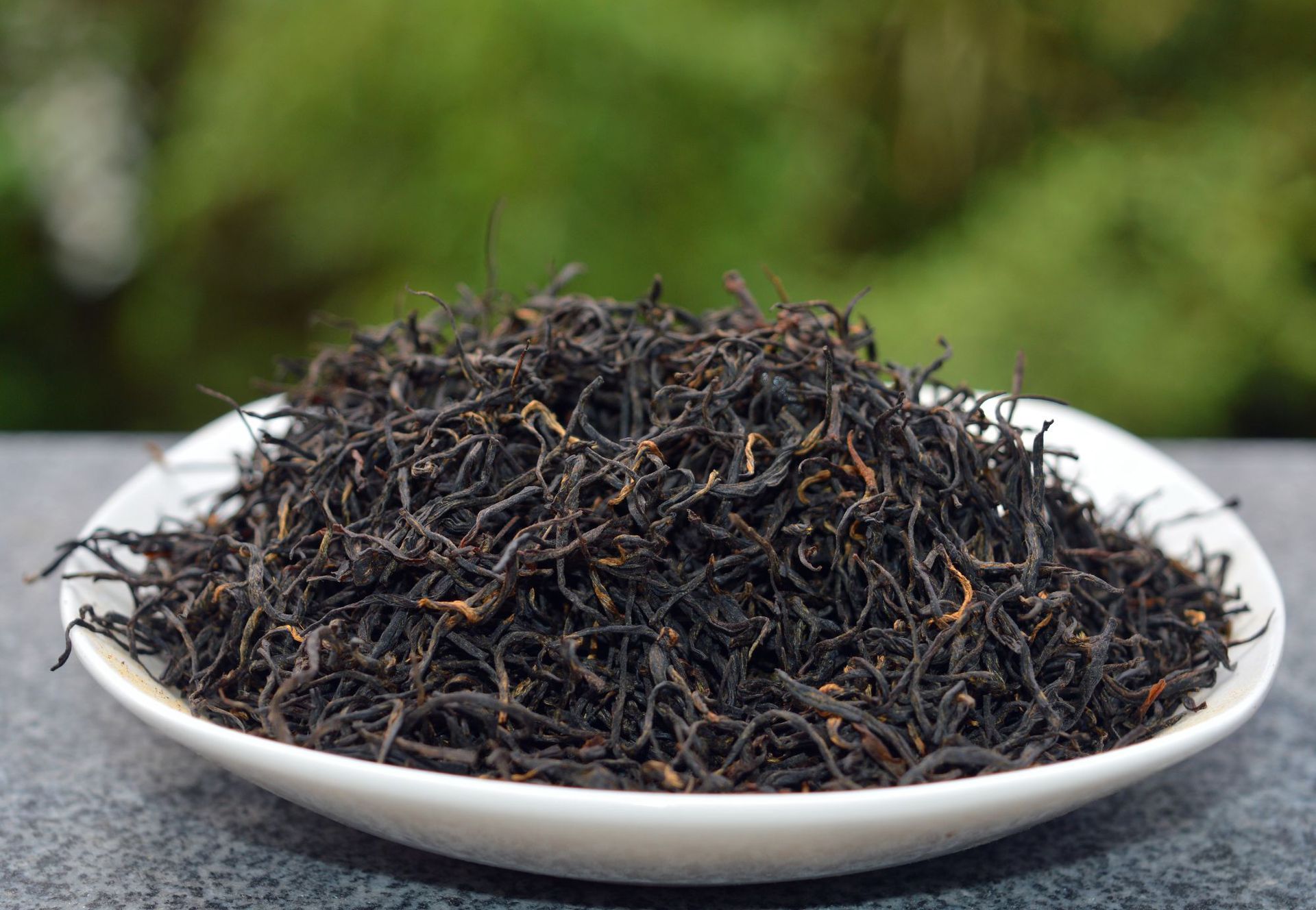 山茶属毛瓣金花茶植物(常见茶花品种知识普及（四）——金花茶)