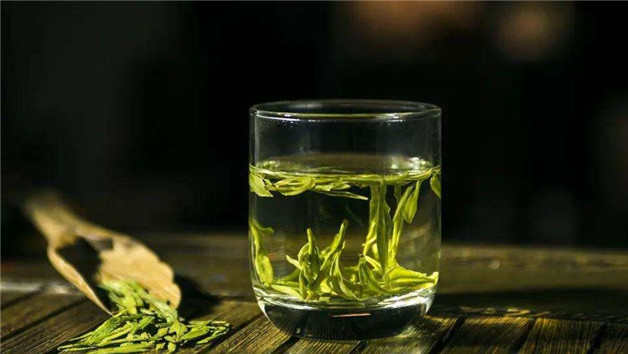 禾黄茶是哪个季节的茶(在广东，有一种“小虫咬出来的蜜茶”)