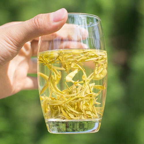 黄茶的加工工艺流程闷黄(细说黄茶的“闷黄”工艺，由绿变黄，茶叶经历了怎样的历练过程)