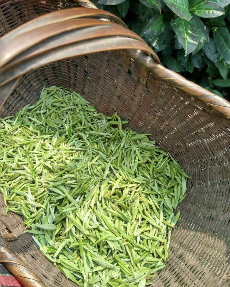 碧螺春果茶复合系统(看！这些茶上央视财经啦)