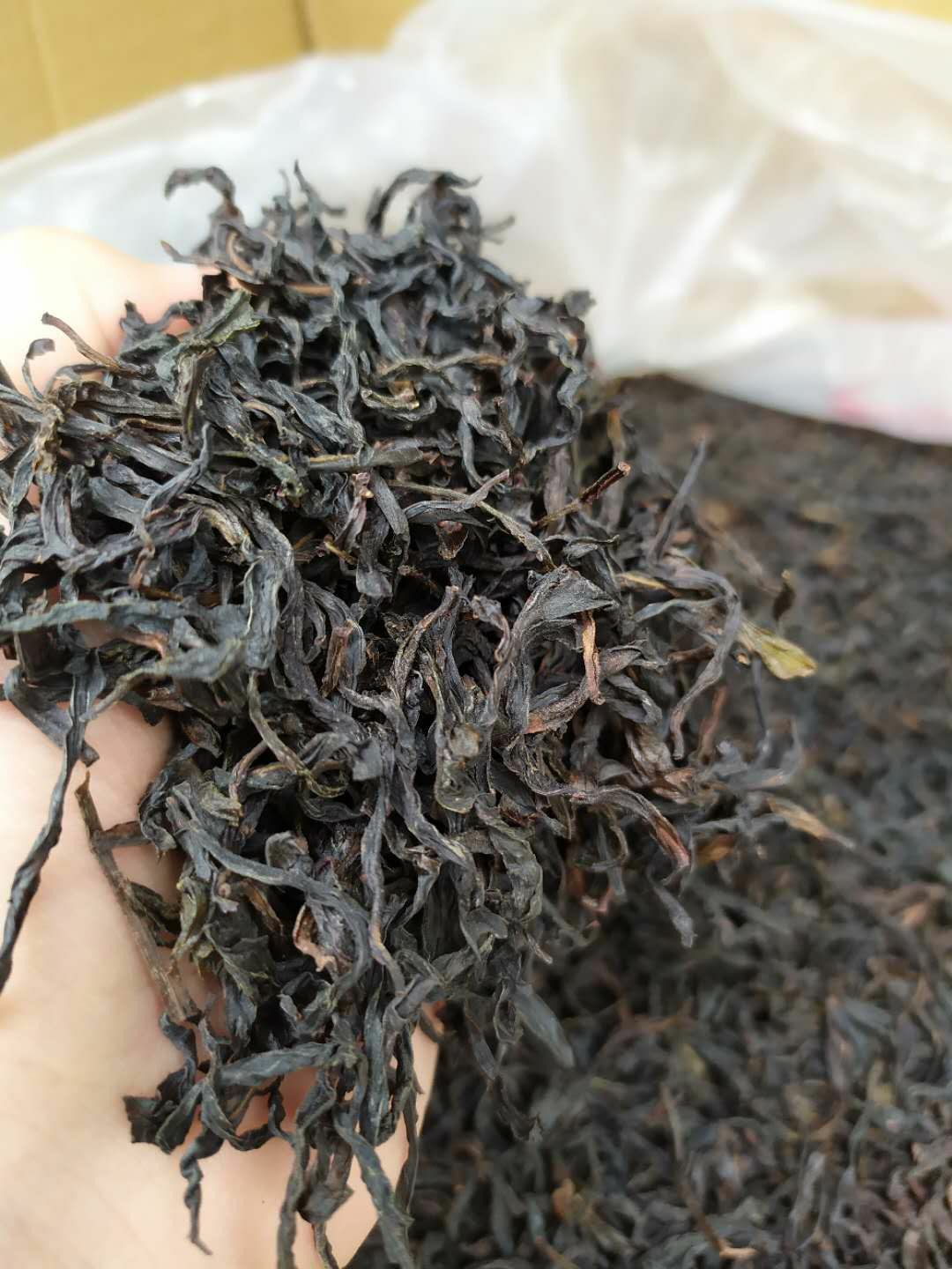 凤凰单丛茶好还是鸭屎香好(来自凤凰单丛核心产区的鸭屎香、蜜兰香，甜润又香醇)