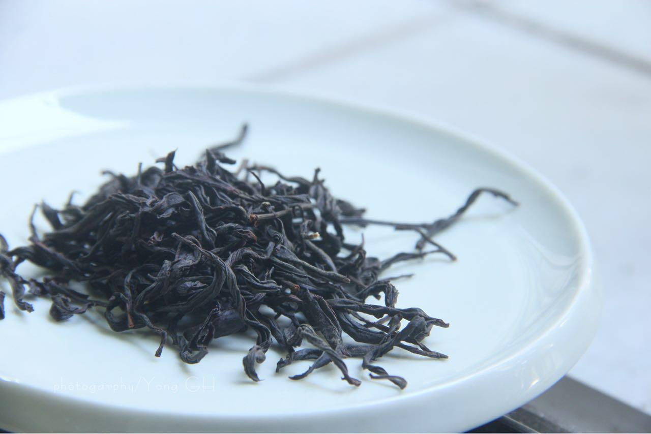 湖南99年青砖茶的价格(亮相长沙的这半片黑砖茶 为何价值100万？)
